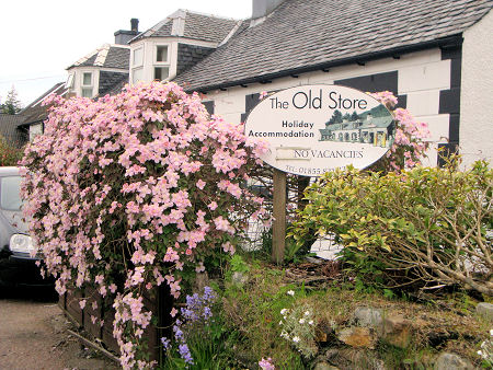 The Old Store today